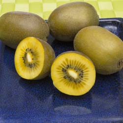 Kiwi with yellow pulp